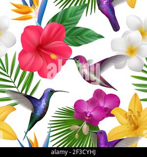 Tropical pattern. Colibri with exotic flowers flying little hummingbirds botanical vector beautiful seamless background Stock Vector