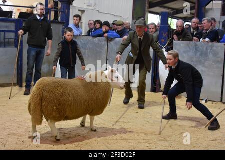 The Commons of Crossdykes selling at Lockerbie Stock Photo