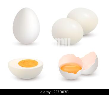 Eggs realistic. Natural healthy farm fresh food yolk and protein vector cracked shell chicken eggs Stock Vector