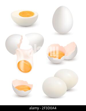 Realistic set of raw boiled fried chicken eggs eggshell container ...