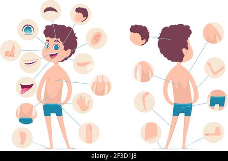 Boy body parts. Young human school male kid anatomy hands legs fingers head vector cartoon character Stock Vector
