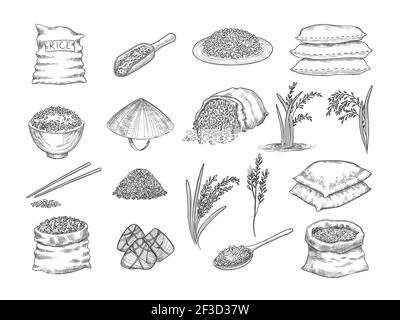 Rice sacks. Natural agriculture objects wheat grains rice food vector hand drawn collection Stock Vector