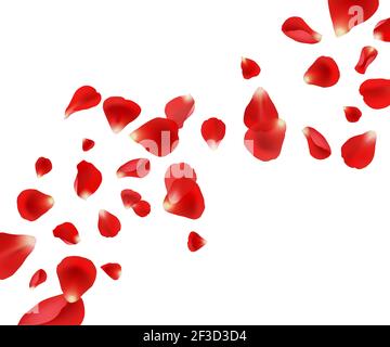 Petal background. Flying rose petals wedding beautiful template design for cards invitation vector pictures Stock Vector