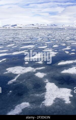 Sea Ice and mountainous landscape - Late SpringSvalbard (Spitsbergen) Norway LA003667 Stock Photo