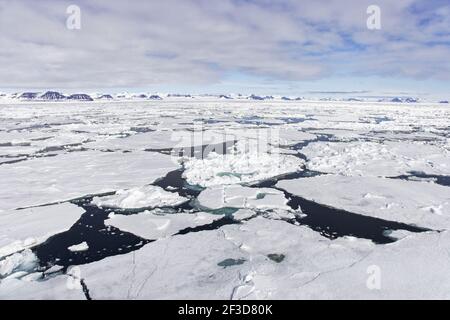 Pack Ice - Late SpringSvalbard (Spitsbergen) Norway LA003708 Stock Photo