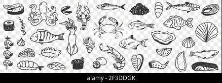 Seafood and fish doodle set. Collection of hand drawn crab shrimp prawn octopus shells caviar squid various fish for making dishes and sushi isolated on transparent background Stock Vector