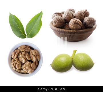 Kernels walnuts and young nuts in the shell isolated on white background. Heap of walnuts isolated on white background. Top view. Set of walnuts from Stock Photo