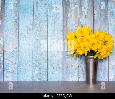 A bouquet of daffodils in a vase against rustic blue wooden wall with copy space. Stock Photo
