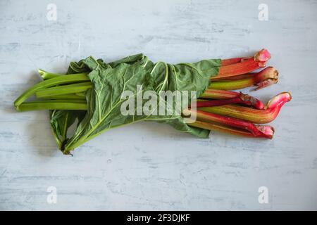 Rhubarb green and red stalks bunch rolled up with a leaf Stock Photo