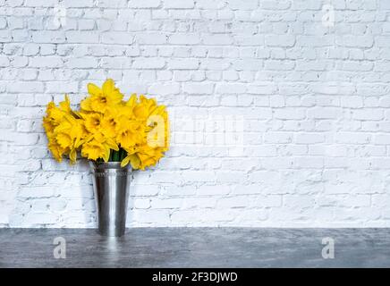 A bouquet of daffodils in a vase against white brick wall with copy space. Stock Photo