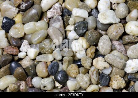 Mini River Rock Pebble Assortment  for Home Decoration Stock Photo