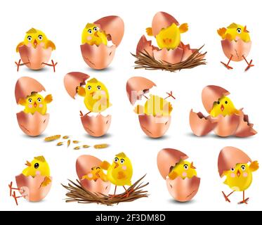 Collection of cute yellow chickens. Funny cartoon chickens for your design. Easter chicks on white background. Chicken hatching from an egg. Vector illustration. Stock Vector