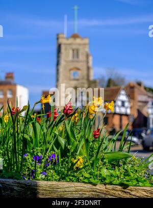 Yellow, red & purple flowers in flower box. Medieval hilltop church & other historic half-timbered buildings in background. Pinner Village. England Stock Photo