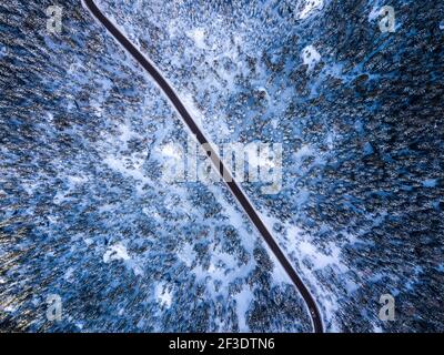 Aerial view on winter forest divided by black road. Top down view from drone. Winter abstract background. Stock Photo