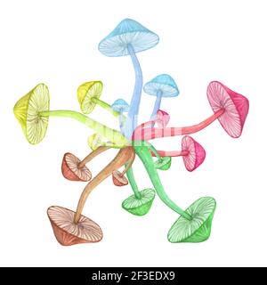 Toadstool circle hippie concept isolated on white background Stock Photo