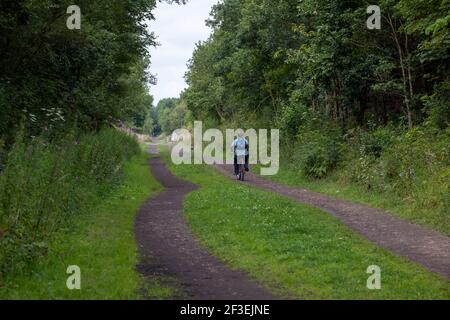 Summer view of a cyclist riding along the Trance Pennine Trail cycle route near Penistone in South Yorkshire Stock Photo
