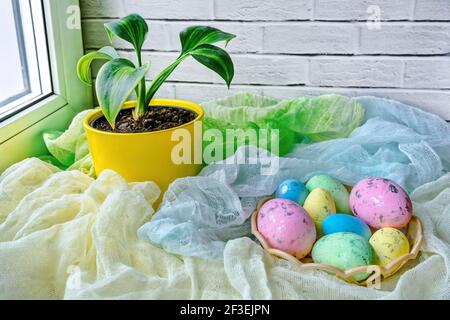 Interior Easter decoration with colorful eggs and potted flower Stock Photo