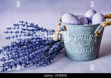 Purple Easter Eggs in iron jar with blue lavender flowers Stock Photo