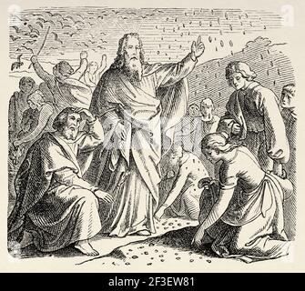Exodus. The Israelites Gathering Manna. Old Testament, Old 19th century engraved illustration from History of the Bible 1883 Stock Photo