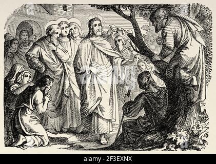 Zacchaeus. Jesus and the chief tax-collector at Jerico. Zacchaeus climbed up into a sycamore tree, New Testament, Old 19th century engraved illustration from History of the Bible 1883 Stock Photo