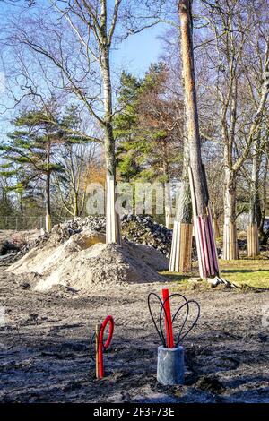 Tree trunk protection. A tree trunk covered with boards to protect from ...