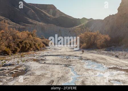 Ramblas Landscape in the Tabernas Desert in a Sunny Winter day Andalusia Spai.  Nature Travel Stock Photo