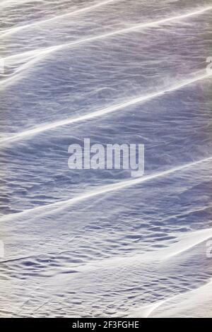 Wind sculpted patterns in fresh snow; near the Madonna Mine; Monarch Pass; Colorado; USA Stock Photo