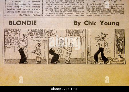 Blondie' by Chic Young cartoon strip in the Daily Sketch newspaper