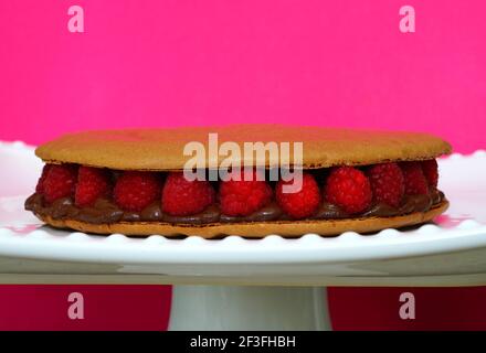 A giant chocolate macaron cake with fresh raspberries Stock Photo