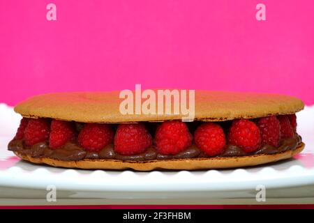 A giant chocolate macaron cake with fresh raspberries Stock Photo