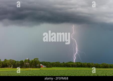 Thunderstorm and lightning bolt strike over a farm field in Minnesota Stock Photo