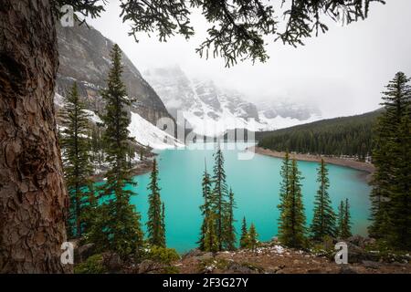 Iconic Moraine Lake in Banff National Park on a foggy, weather filled early Summer afternoon. Stock Photo