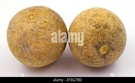 Close up of two wood apple fruits on an isolated white background Stock Photo