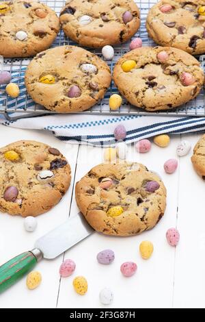 Homemade chocolate mini egg cookies Stock Photo