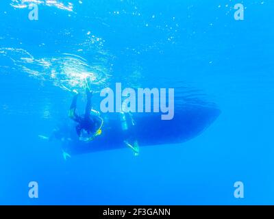 A slightly blurred view from under the water of divers returning to the boat after a dive Stock Photo