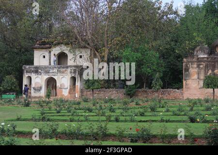 Indian girl getting her photograph clicked in Lodi Gardens. Stock Photo