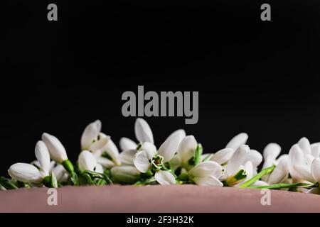 Bouquet of snowdrops lies In a craft envelope on a wooden background an unusual view from below, Galanthus nivalis close up macro shoot. Stock Photo