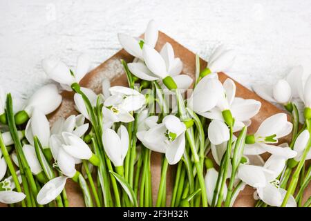Bouquet of snowdrops Galanthus nivalis lies in a craft envelope on a light wooden background. Stock Photo