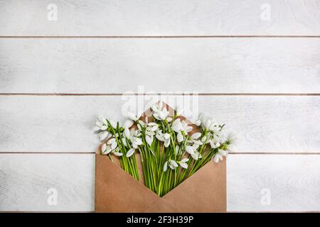Bouquet of snowdrops Galanthus nivalis lies in a craft envelope on a light wooden background. Stock Photo