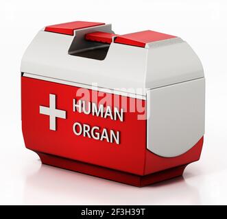 Human organ transport box isolated on white background. 3D illustration ...