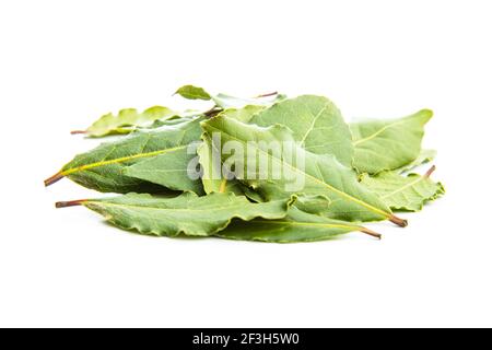 Fresh green bay leaves isolated on white background. Stock Photo