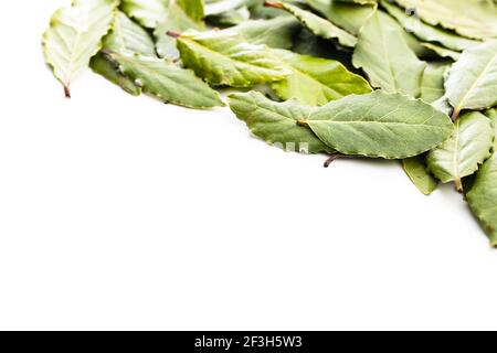 Fresh green bay leaves isolated on white background. Stock Photo