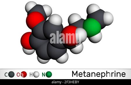 Metanephrine molecule. It is metabolite of epinephrine, adrenaline, biomarker for pheochromocytoma. Molecular model. 3D rendering. 3D illustration Stock Photo