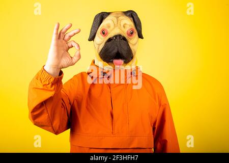 https://l450v.alamy.com/450v/2f3hfh7/man-with-dog-mask-isolated-on-a-yellow-backgroundman-gesture-with-ok-sign-good-choice-2f3hfh7.jpg