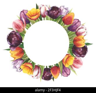 Hand drawn watercolor wreath of tulips with leaves. Floral frame with colorful flowers isolated on white background. Round template for invitations Stock Photo