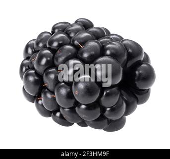 Blackberry macro isolate studio shot. Black berry isolated on white background. Dewberry closeup for packaging design. Whole single mulberry close up Stock Photo