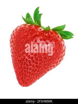 Closeup of red strawberry isolated on white background for packaging design. Whole berry isolated. Stock Photo