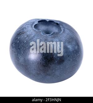 Blue forest berry macro studio shot. Blueberry isolated on white background. Beautiful bluberry closeup for packaging design. Whole single billberry Stock Photo