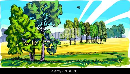 Summer landscape with a field and a group of trees. One of the four paintings of the seasons. The trees are green. Wheat is ripening in the field. Stock Vector