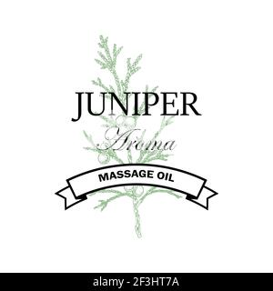 Juniper massage oil logo with hand drawn element isolated on white background. Vector illustration in vintage style Stock Vector